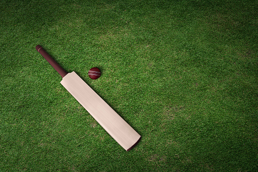 Cricket bat and ball on grass pitch