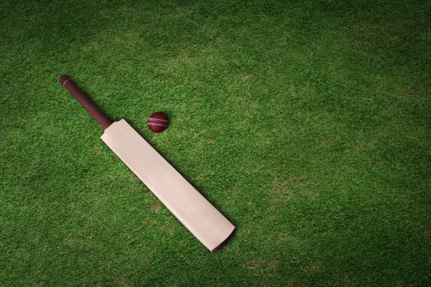 крикетная бита и мяч на травяном поле - run down стоковые фото и изображения