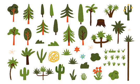 Big clipart set of various plants, scrubs, deciduous and coniferous trees. South, west and northern flora Oak, fir trees, coconut palm trees, grass, flowers, cactuses, cypress, etc. Vector collection.