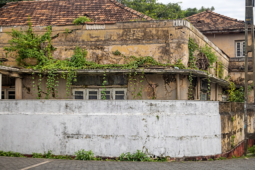Galle, South Province, Sri Lanka - February 11th 2023:  Old house with plants growing all over behind a whitewashed wall in a narrow street
