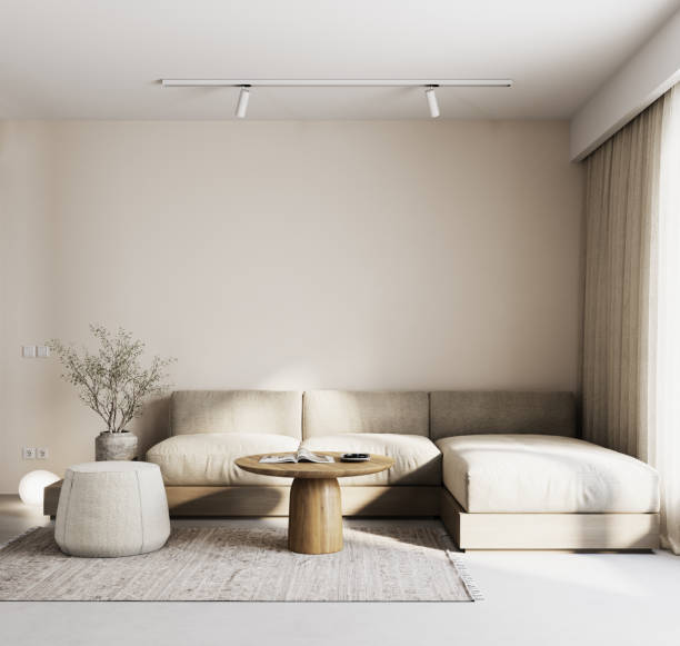 Modern beige interior design. Home living room with sofa and empty wall background.