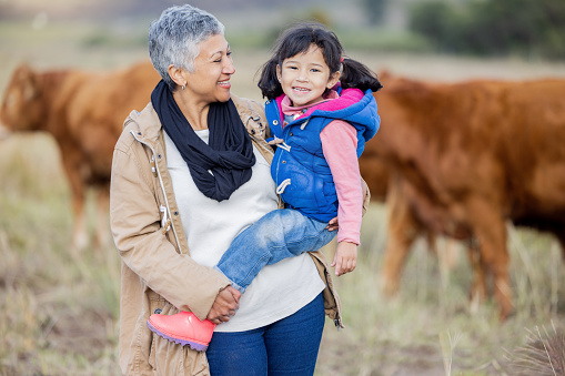 Grandmother, happy girl portrait and nature with cows and senior woman in the countryside. Outdoor field, hug and elderly female with child on a family adventure on vacation with happiness and fun