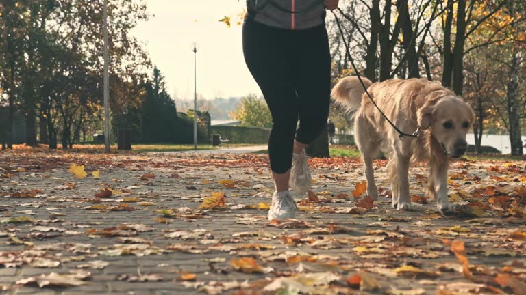 Girl running with retriever