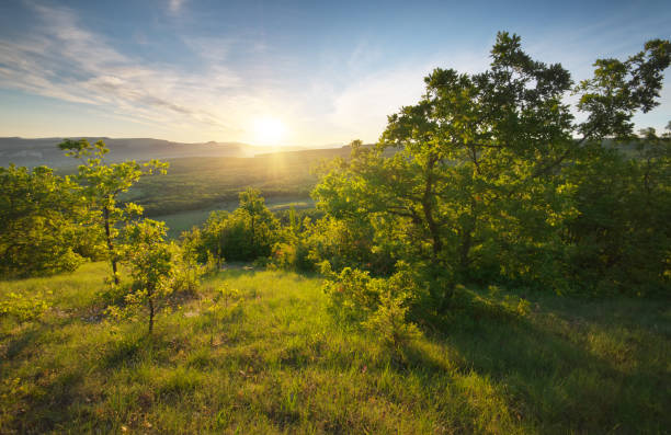 istock Mountain sunrise landscape. 1488572234