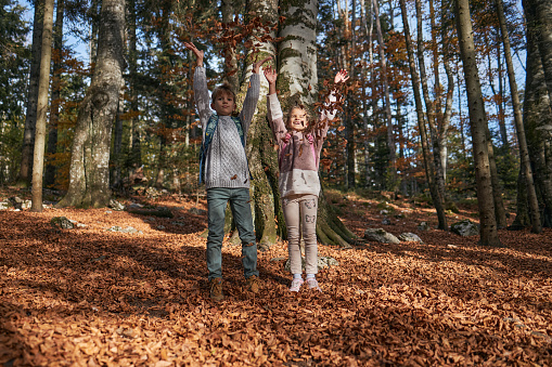 Beautiful boy and girl are enjoying beautiful forest. They are exploring it together, throwing leaves in the air.