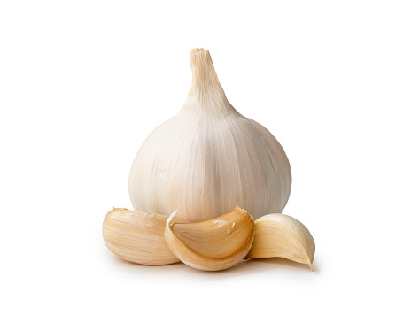 Single fresh white garlic bulb with segments is isolated on white background with clipping path