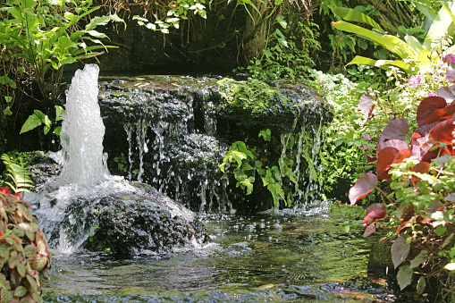 Fountain feature and small waterfall cascading into a small pond in a beautiful landscaped tropical rockery garden in southeast Asia.