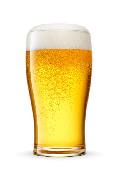 白い背景に新鮮な黄金色のビールのチューリップパイントグラスと泡のキャップ。 - beer beer glass drink alcohol ストックフォトと画像
