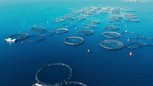 Aerial drone top view of sea fish farm cages and fishing nets