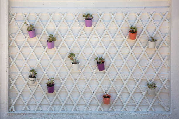 istock A white wall with purple and brown flower pots with plants on it 1488579556