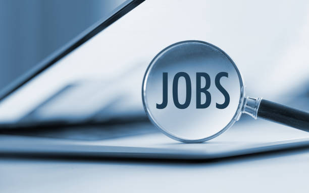 istock Job search on the internet 1488579742