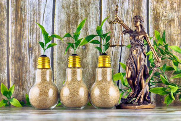 Symbol of law and justice and plants growing inside the light bulbs. Green eco renewable energy concept. Regulations, restrictions, prohibition. - fotografia de stock