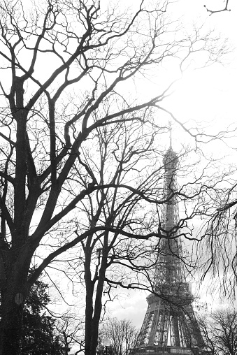 Art style photograph of the Eiffel Tower among trees in winter.
