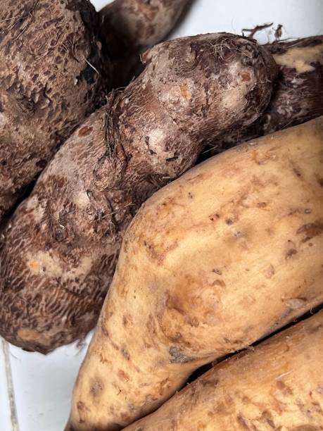 patata dolce e patata cilembu - raw potato farmers market market stall vegetable foto e immagini stock