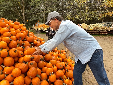 Senior man selecting one small pie pumpkin from large pile outdoors on a crisp fall day