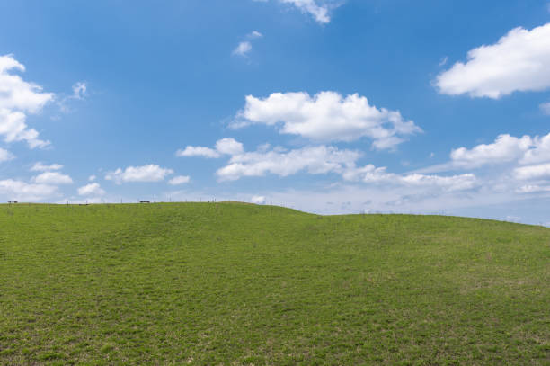 istock Idyllic scenery of the great plains 1488598352