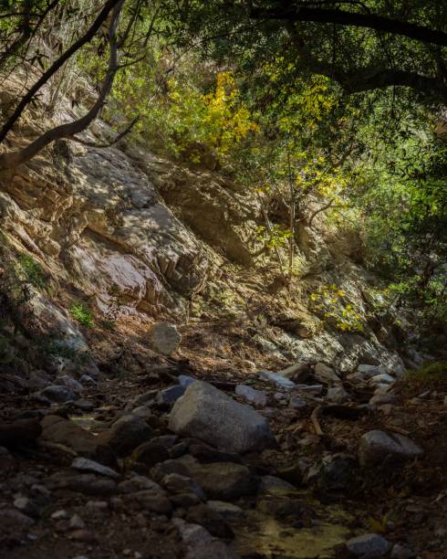 istock Scenic view of a forested mountain side featuring a rocky path, Angeles forest 1488599851
