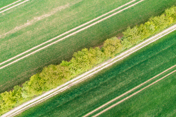 istock Grain field in the Rheingau 1488602330