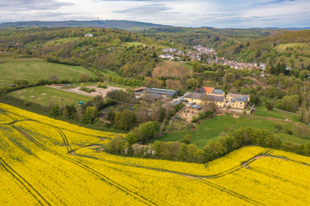 istock Blooming rapeseed fields in the Rheingau/Germany 1488602334