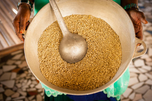 istock Millet production in Senegal, West Africa 1488602474