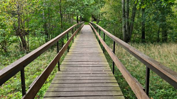 istock Wooden bridges over small streams for walking along forest paths 1488603879