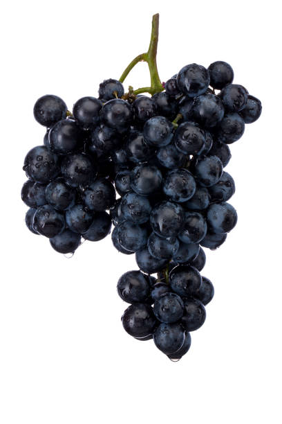 istock Dark blue grape with leaves isolated on white background 1488603883