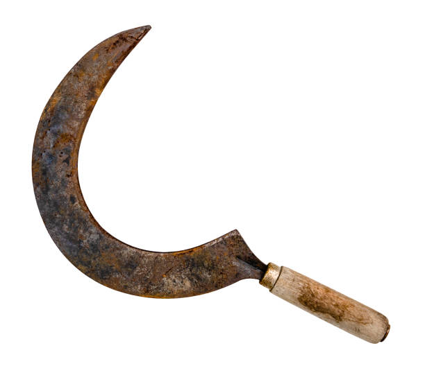 istock vintage sickle with wooden handle cut out 1488604613
