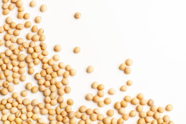 Lots of soybeans arranged on a white background
