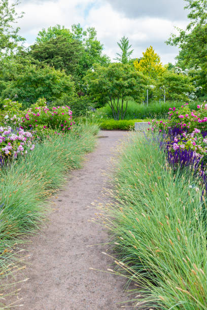 istock Park with flowerbeds and deciduous trees 1488610943