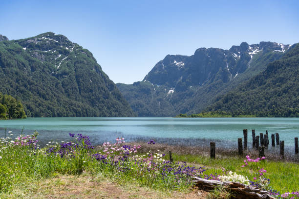 Free picture: Majestic landscape of the Mascardi lake in Patagonia in ...