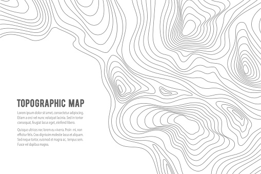 Topographic map. Grid, texture, relief contour. Sea navigation contour backdrop, ocean or land territory topography vector graphic background or cartography contour topographical pattern wallpaper