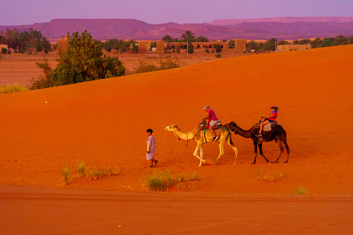 Merzouga, Morocco - April 01, 2023: Sunset view of a camel caravan with handler and tourists, in the sand dunes of Merzouga, the Sahara Desert, Morocco