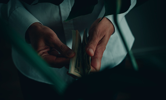 closeup of a man wearing a white long-sleeve shirt counting some dollar notes, indoors, seen through the leaves of a monstera plant