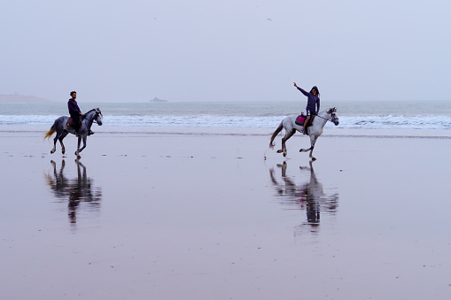Essaouira, Morocco - April 06, 2023: Blue hour (after sunset) view of horses and riders galloping on the beach, in Essaouira (Mogador), Morocco