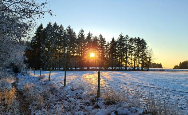 istock Sunset in the snowy Eifel mountains, Germany 1488624769