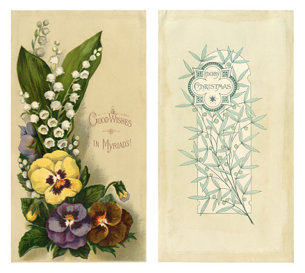 A double-sided Victorian Christmas card from 1881 with colourful pansies and lily-of-the-valley on the front and a Christmas greeting on the reverse. It would appear to have been mounted in an album at some point as the reverse is stained around the edges.  It was common for Victorian Christmas and New Year cards to carry unseasonal images.