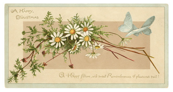 A Victorian Christmas card from 1885 with daisies and butterflies. It was common for Victorian Christmas and New Year cards to carry unseasonal images, so this card could easily be adapted for other occasions by removing the Christmas message.