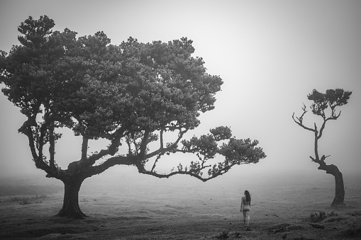 Description: Barefoot woman in sportswear enjoying walk over flat field with aesthetic laurel trees in foggy atmosphere. Fanal forest, Madeira Island, Portugal, Europe.