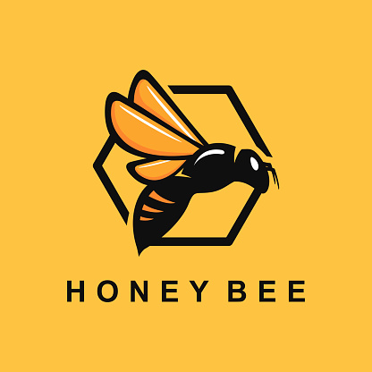 Bee logo design vector illustration