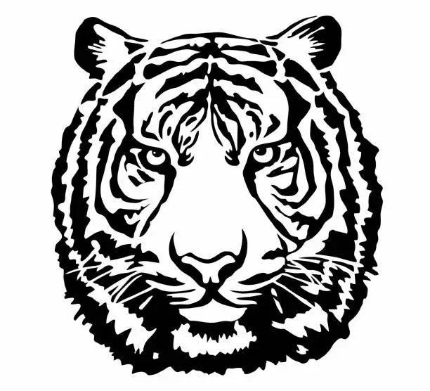 Vector illustration of Vector illustration isolated on white. Tiger head. Black and white outline. Contrasting stencil-style tiger muzzle.