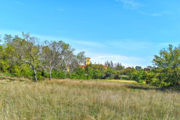 istock Sculpture park in Labin, Croatia 1488632084