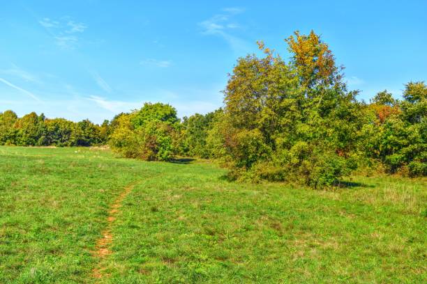 istock Sculpture park in Labin, Croatia 1488632086