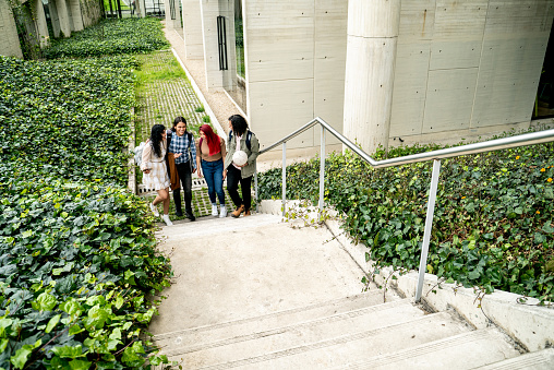 Student friends talking and walking up the stairs on the university campus