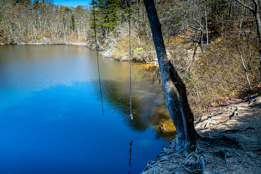 A rope swing waiting for the warm weather for fun jumping in to the \