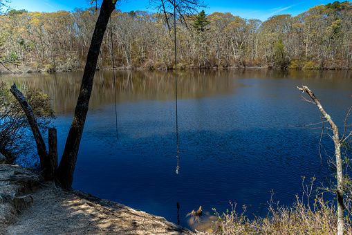 A rope swing waiting for the warm weather for fun jumping in to the \