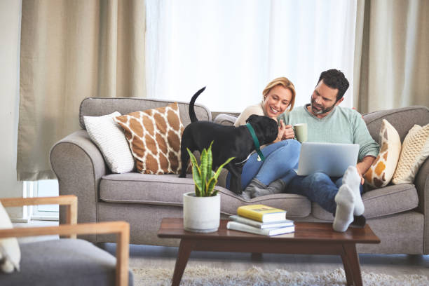 Coffee, couple and laptop in living room with dog in home, bonding and relaxing. Tea, pet and man and woman with computer, happiness and streaming video, film or online browsing together on sofa. stock photo