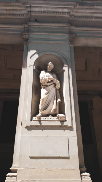 Andrea Cesalpino, Street sculpture Uffizi Gallery outside in Florence, Italy Andrea Cesalpino, Street sculpture Uffizi Gallery outside in Florence, Italy michelangelo italy art david stock pictures, royalty-free photos & images