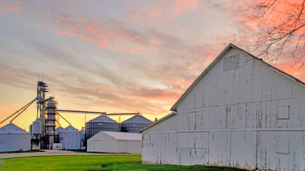 istock Farm Sunrise with barn and silos-Howard County, Indiana 1488643773