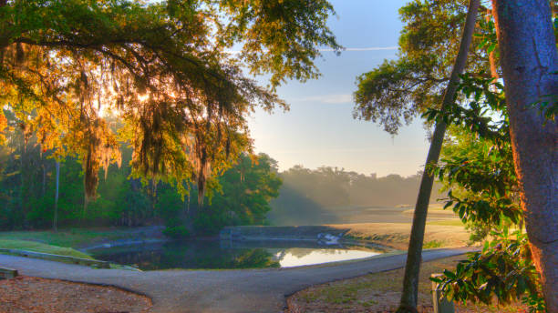 istock Foggy Golf Course Sunrise- Hilton Head, South Carolina 1488643814