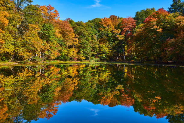 istock Beautiful fall forest reflecting on waters of pond during peak fall.jpg 1488644776